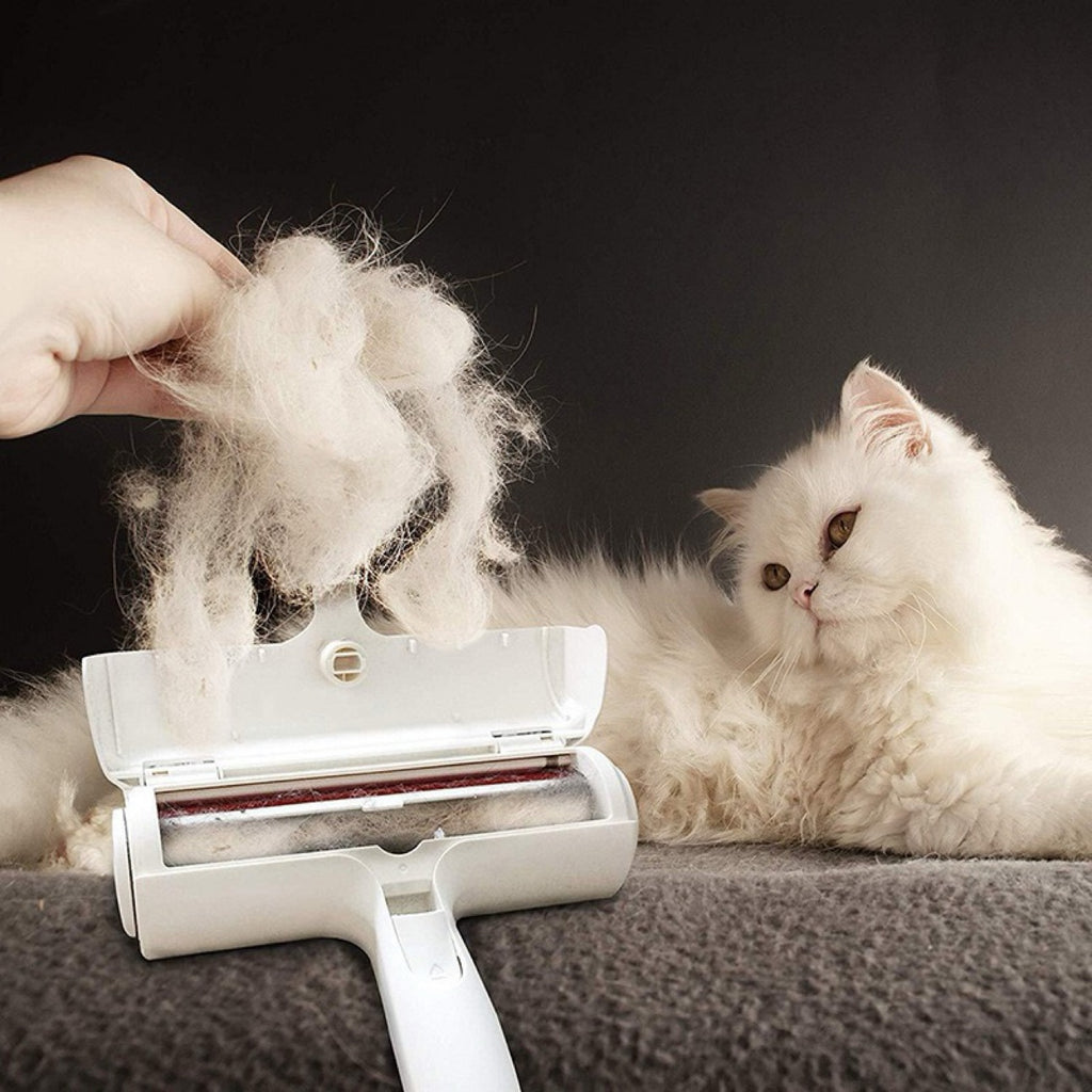 Hair remover roller with a long-haired cat